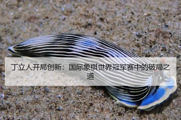 丁立人开局创新：国际象棋世界冠军赛中的破局之道