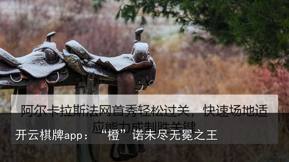 开云棋牌app:“橙”诺未尽无冕之王
