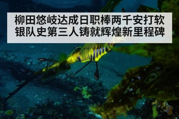 柳田悠岐达成日职棒两千安打软银队史第三人铸就辉煌新里程碑