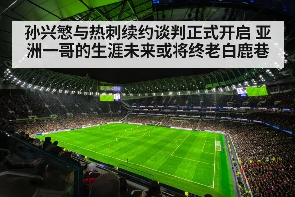 Tottenham Hotspur stadium
