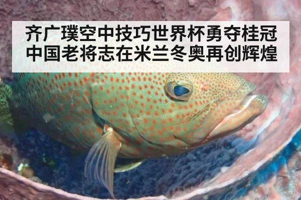 齐广璞空中技巧世界杯勇夺桂冠 中国老将志在米兰冬奥再创辉煌